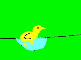 flip duck