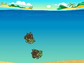 Two Tiny Turtles