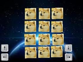 DOGE IN SPACE