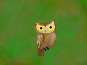 Owl speed Draw 