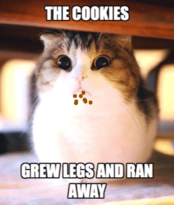 cat cookie eating