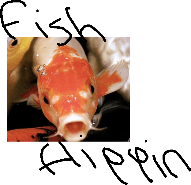 Fish Flippin
