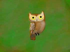 Owl speed Draw  1