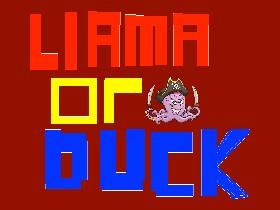 Llama or Duck? 1 - copy