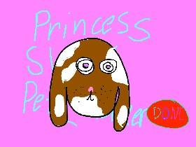 Princess Shivys pet maker