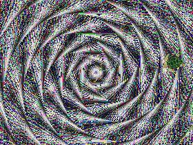 Spiral Shapes