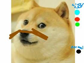 your doge