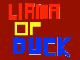 Llama or Duck? 3