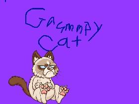 grummpy cat