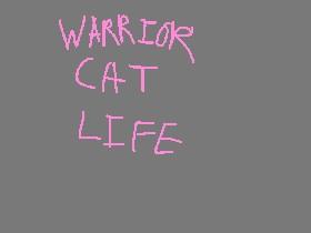 WarriorCat Life