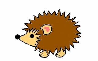 How to draw a hedgehog step by step