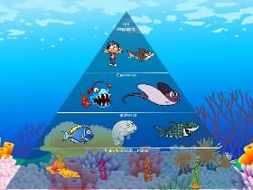Ecological Pyramid 1 1 1
