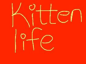 Kitten Life