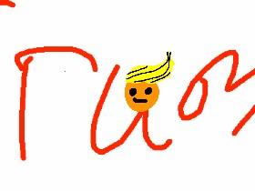 Trumps cherleader