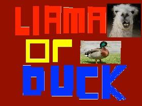 Remake of Llama or Duck