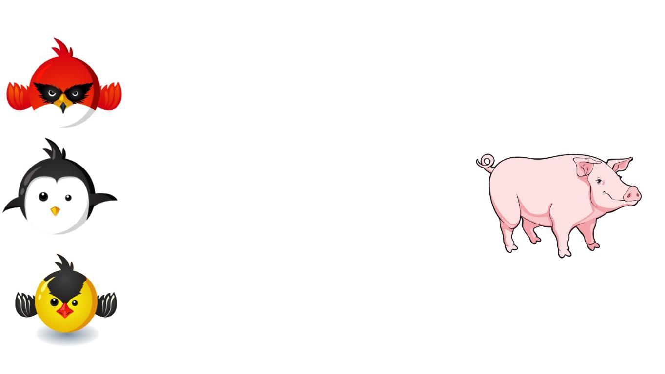 angry pig