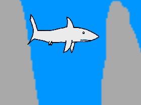 Shark simulater 1