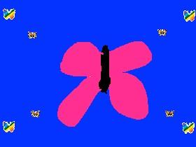 butterfly 🦋🦋🦋🦋🦋🦋