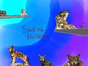 save the red wolves