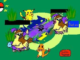 Pokemon battle & catch 1