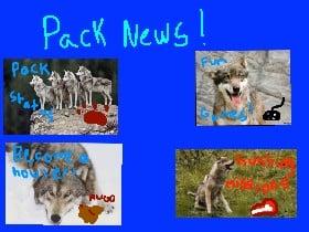 Pack News! UPDATED