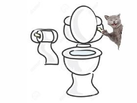  a cat flushing a toilet