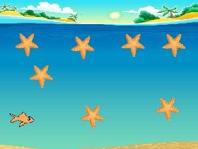 starfish catch