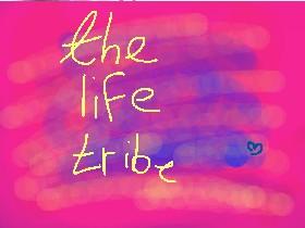 The Life Tribe