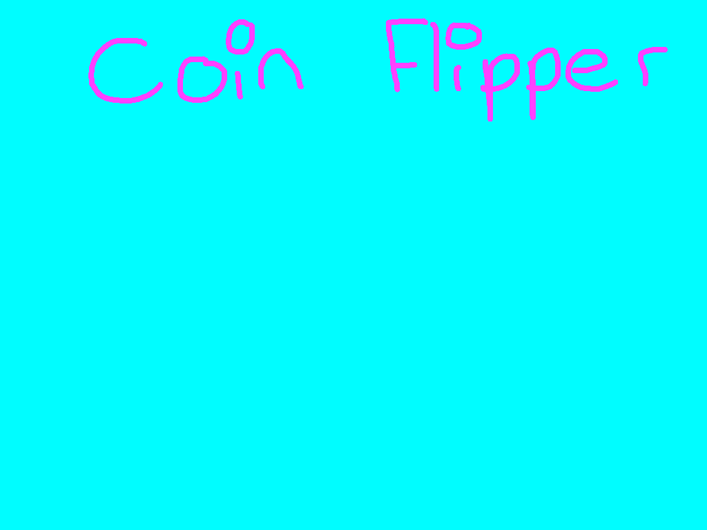 Coin Flipper