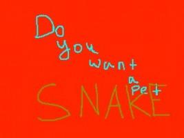 Pet snake!