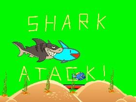 Shark Atack