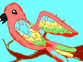 My Parrot  2