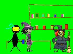 witch store