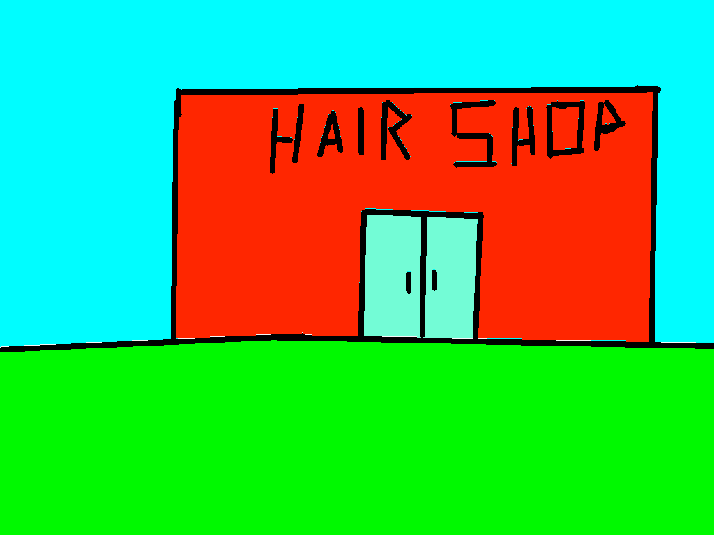 Hair Shop!