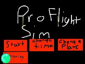 Pro Flight Sim