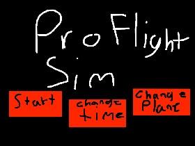 Pro Flight Sim 2
