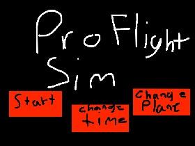 Pro Flight Sim 1