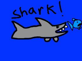Shark! 1 2