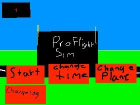 Pro Flight Sim 1