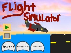 Flight Simulator 1