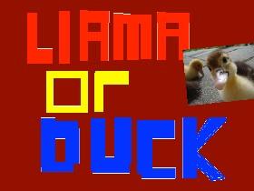 Llama or Duck? 🦆2