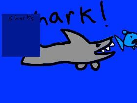 Shark! 1