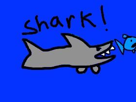 Shark eating fish