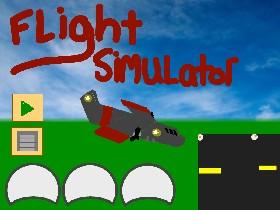 Flight Simulator 3