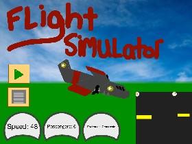 Flight Simulator 2