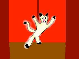 dancing cat! 1