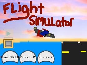 Flight Simulator 2 - copy 1