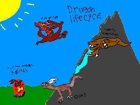 dragon life cycle