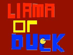 Llama or Duck? 