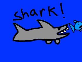 Shark!ppoop